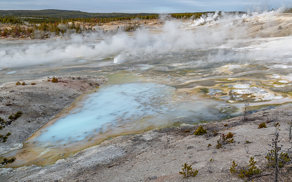 A high concentration of silica in this milky pool at Porcelain Basin, Yellowstone National Park / Rebecca Latson