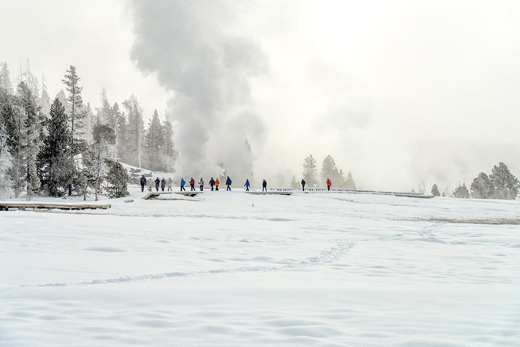 A group tour exploring along the boardwalks at Upper Geyser Basin, Yellowstone National Park / Rebecca Latson
