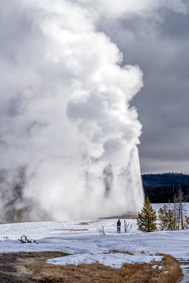 Watching Old Faithful erupt never gets old, Yellowstone National Park / Rebecca Latson