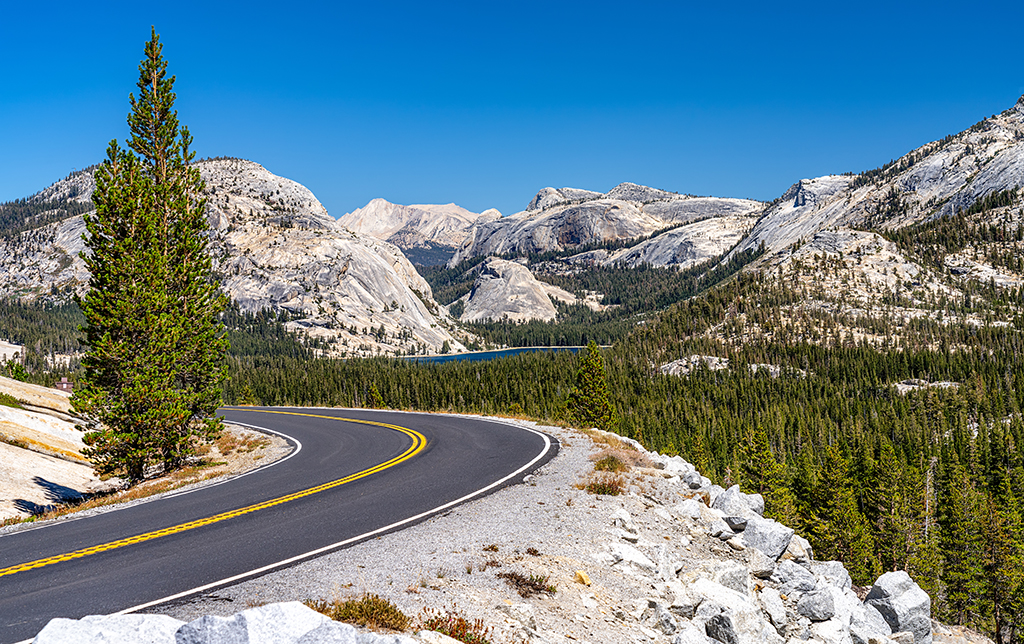 Curvy road at Yosemite National Park
