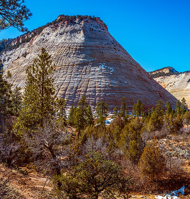 Checkerboard Mesa, Zion National Park / Rebecca Latson