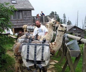 Some folks reach LeConte Lodge with llama support. Photo by Danny Bernstein 