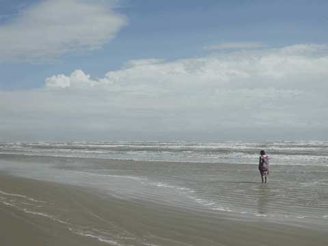 20060818164425.jpg Beach scene at Padre Island NS.