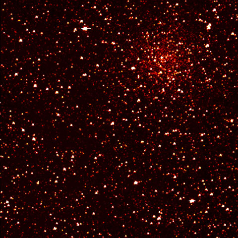 stars