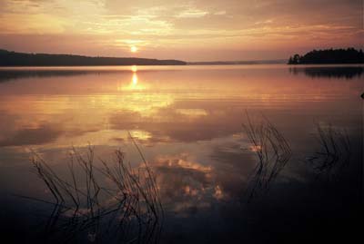 APPA - A lake in Maine