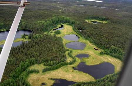 Alaska_boreal_forest_lakes_NPS.jpg