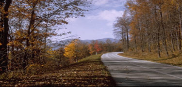 BLRI-Road.jpg