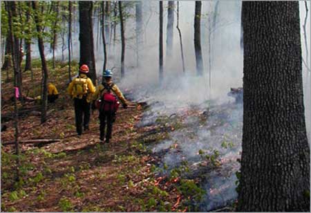 Firefighters at work.