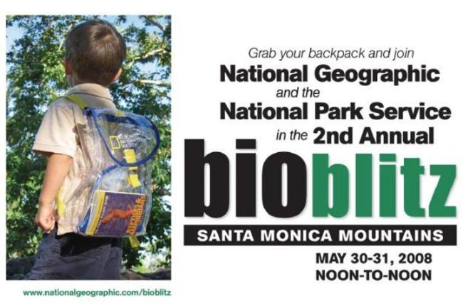 BioBlitz.jpg