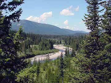 CanadianFlatheadHeadwaters.jpg