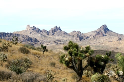 Castle_Mountains.jpg