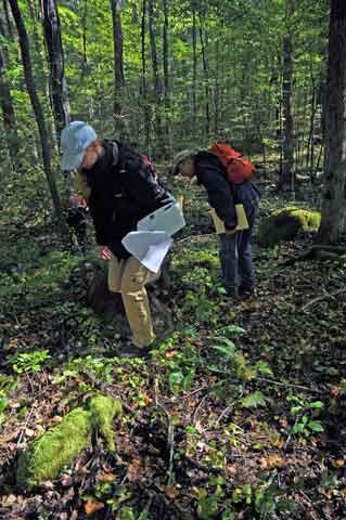 CitizenScience-Ash-field-wo.jpg Volunteers at work in the park.
