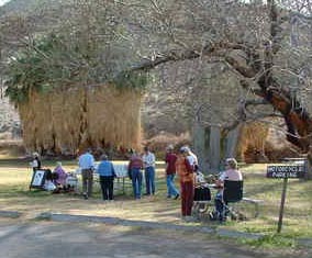DEVA-Scotty's Castle bus tour group PS.jpg