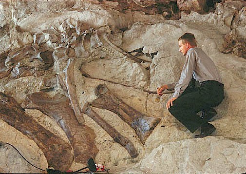 DINO-Fossils_0.jpg