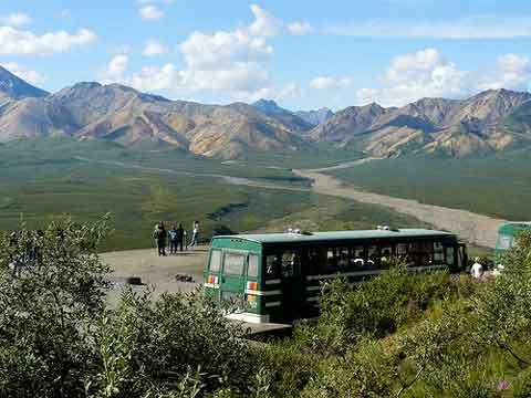 Denali-shuttle-by-dawn-indi.jpg Park shuttle bus at Denali.