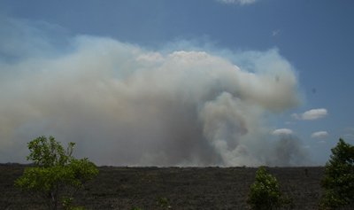 EVER-Mustang Corner Fire.jpg