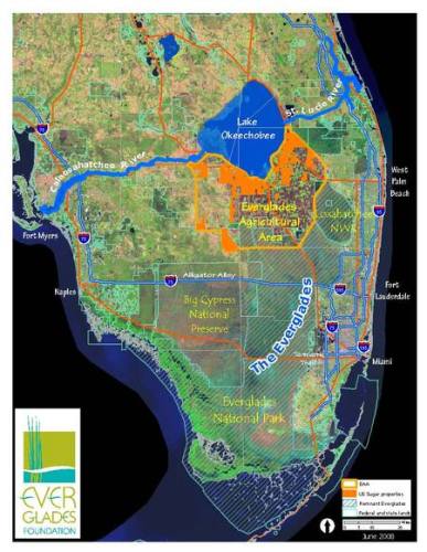 Everglades Base Map.jpg