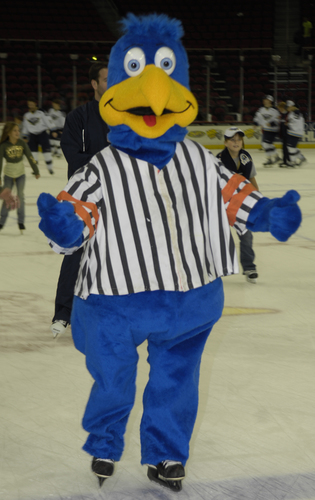 Freddie the Falcon.jpg