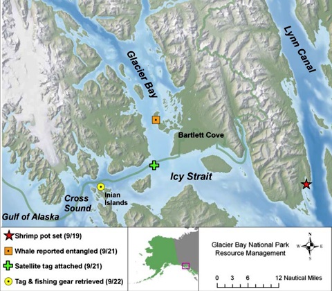 GLBA-Whale_Map.jpg