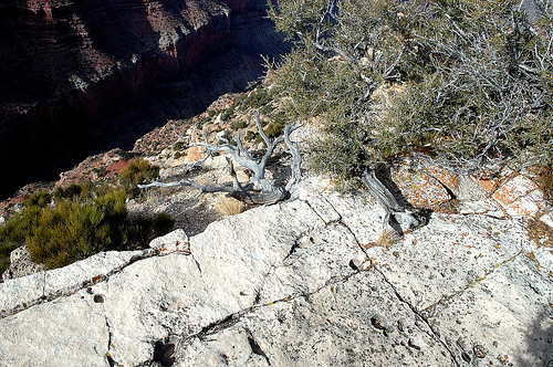 GRCA-Yaki Point.jpg