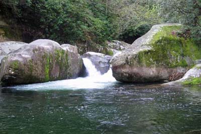 Midnight Hole on Big Creek - GRSM