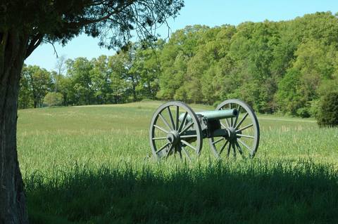 HAFE-Cannon.jpg