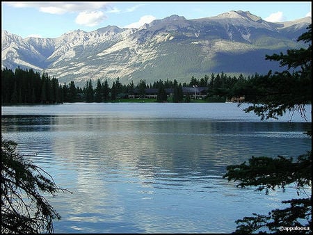 Jasper Park Lodge, appaloosa, via Flickr.jpg