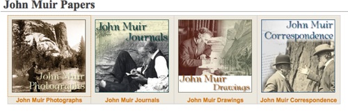 Muir_Collection.jpg