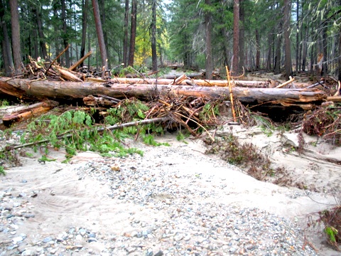 NOCA-Upper_Stehekin_Road_NPS.jpg