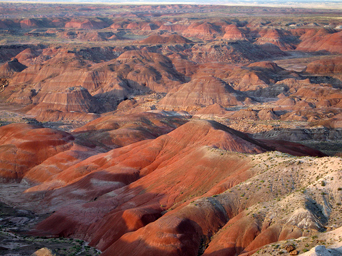 PEFO-Badlands.jpg