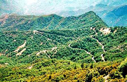 SEKI-Generals Hwy.jpg