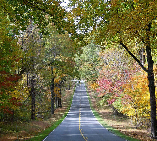 SHEN-Skyline Drive.jpg