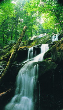 SHEN-Waterfall Scenic.jpg
