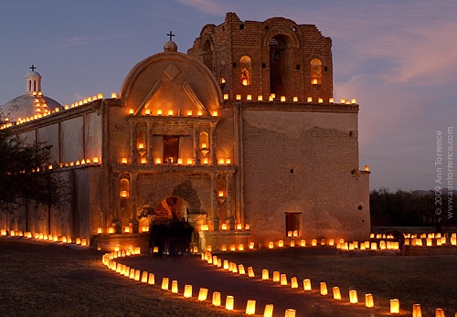 TUMA-Luminaria_A.Torrence.jpg