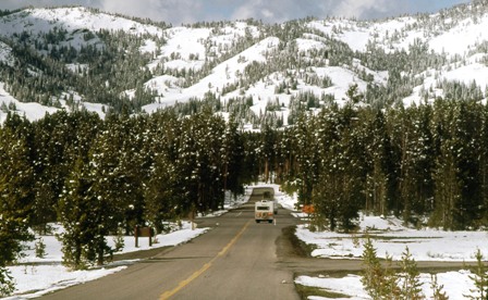 YELL-4 Way Stop Canyon.jpg
