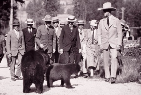 YELL-Coolidge, ALbright Bears.jpg