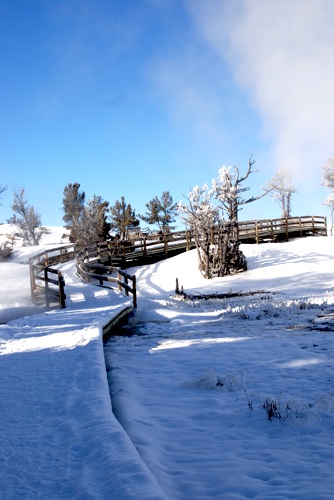 Mammoth Terrace, Kurt Repanshek photo