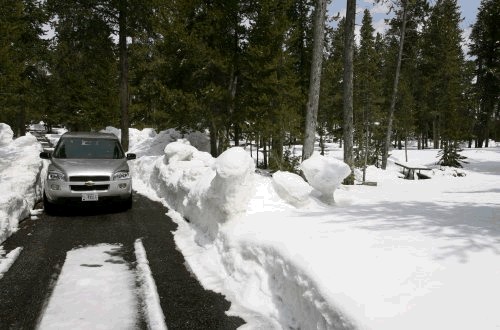 YELL-Norris Snow.jpg