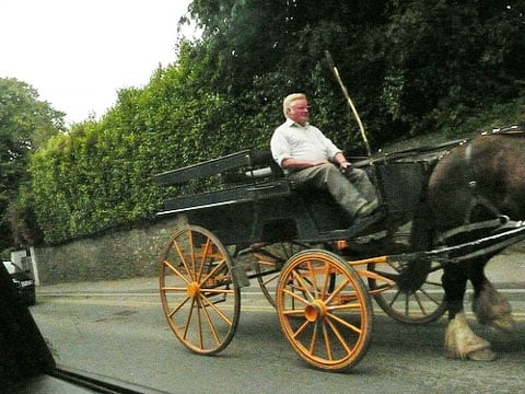 donapatrick.jpg Jaunting Cart in Ireland.