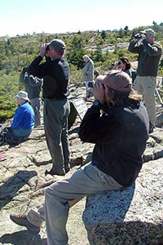hawkwatch.jpg Visitors at the HawkWatch program.