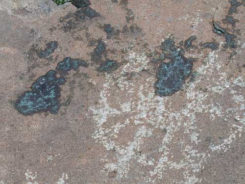 Vandalized petroglyphs