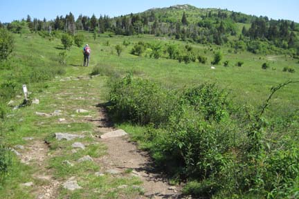 Open area near Massey Gap