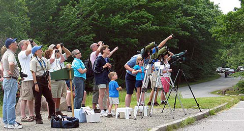 perewatch.jpg Crowd watching peregine falcons.