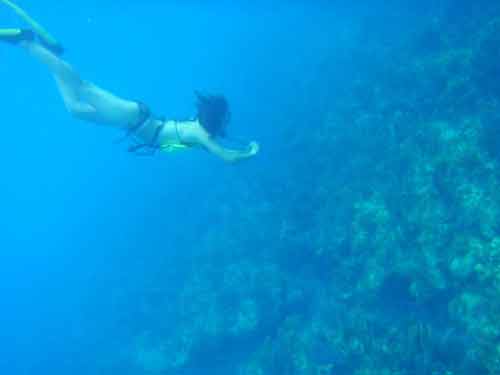 Student diver in Biscayne Bay.