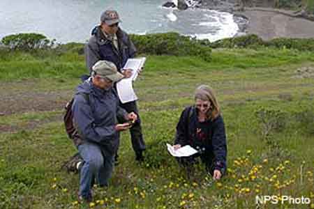 Volunteer weed watchers at work. 