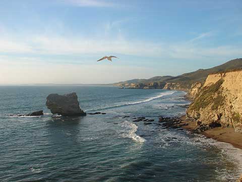pt-reyes-jami-dwyer-flickr.jpg Point Reyes scene.