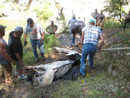 Rescue of horse from canyon.