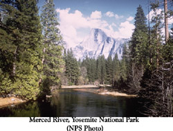 Yosemerced_river_copyjpeg