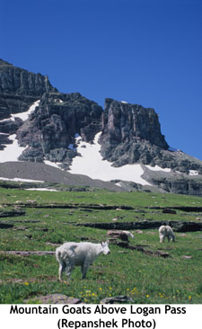summer glacier job need 2007 copy