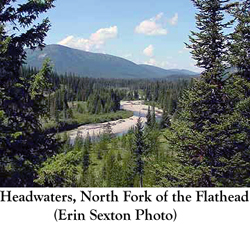 Canadianflatheadheadwaters_copy